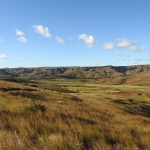 dscn5006
