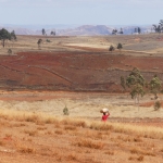 p1130051