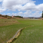 p1130492