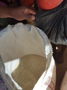 Il riso, alimento base per i malgasci